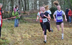 Cross de Chateaurenault 16 12 2012